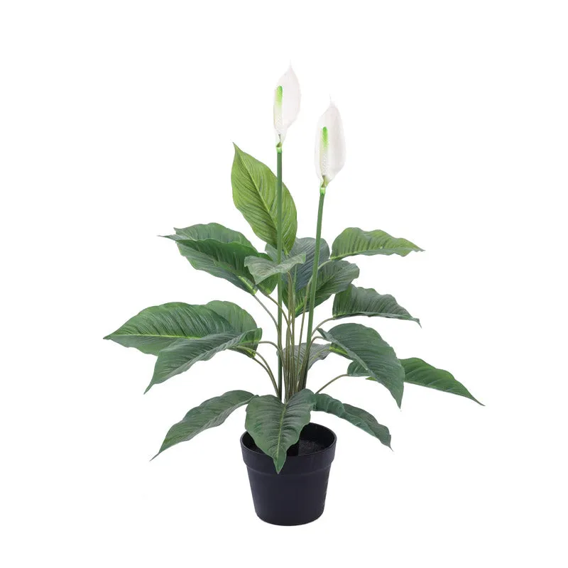 Artificial Realistic Peace Lily Plant With Black Plastic Pot - 2.5 Feet media 3