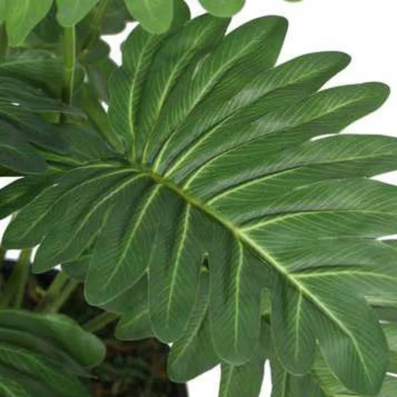 Pureleaf Philodendron Artificial Plant Without Pot - 2.3 Feet media 5