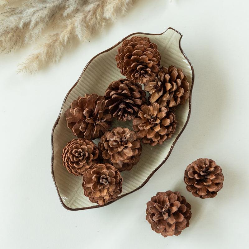 Alpine Dried Pine Cone - Set Of Ten