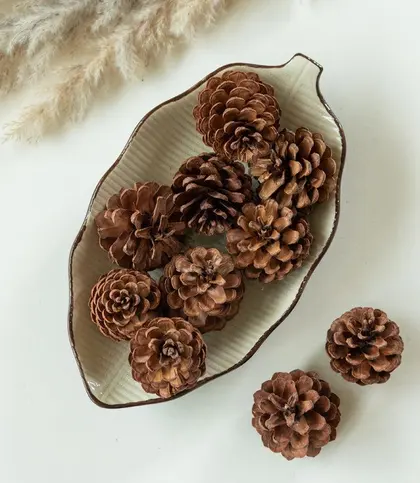 Dried Flowers & Leaves