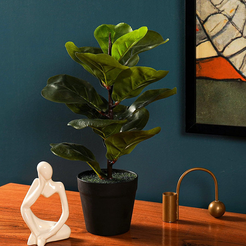 Fidelia Artificial Fiddle Fig Plant - 1 Feet media 4