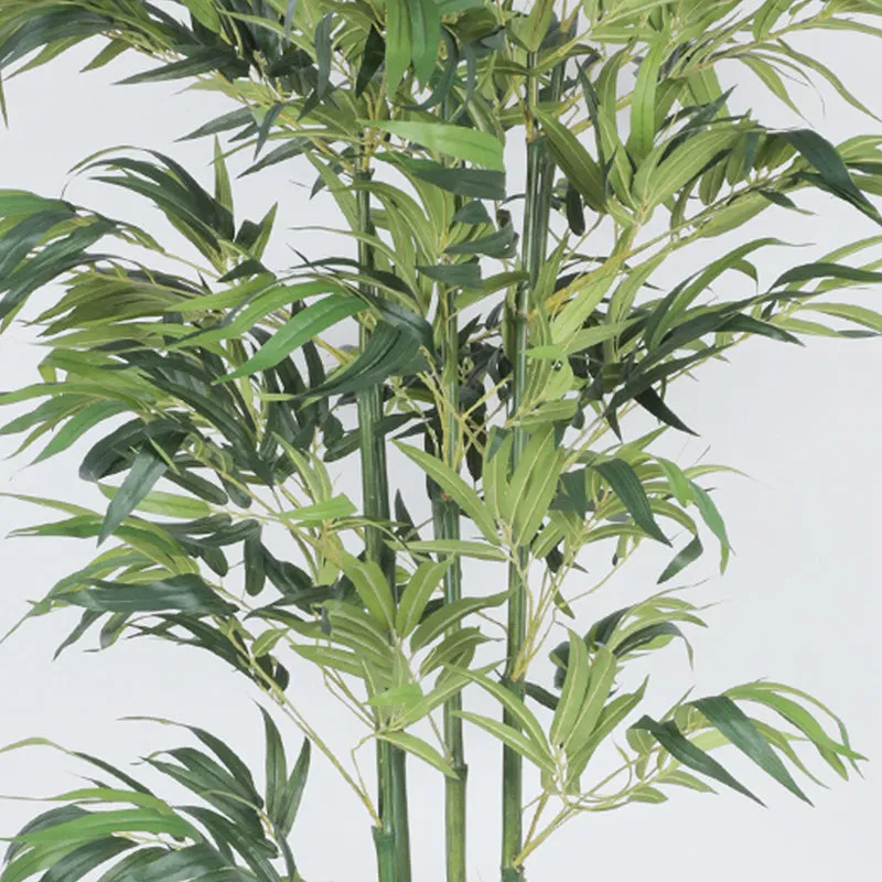 Reed Artificial Bamboo With Black Plastic Pot - 6.3 Feet media 4
