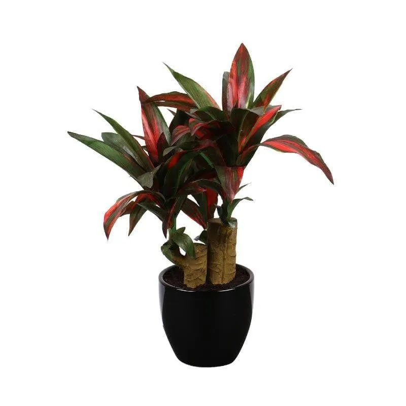 Faux Dracaena Bonsai (35 cms) - Green & Red media 3