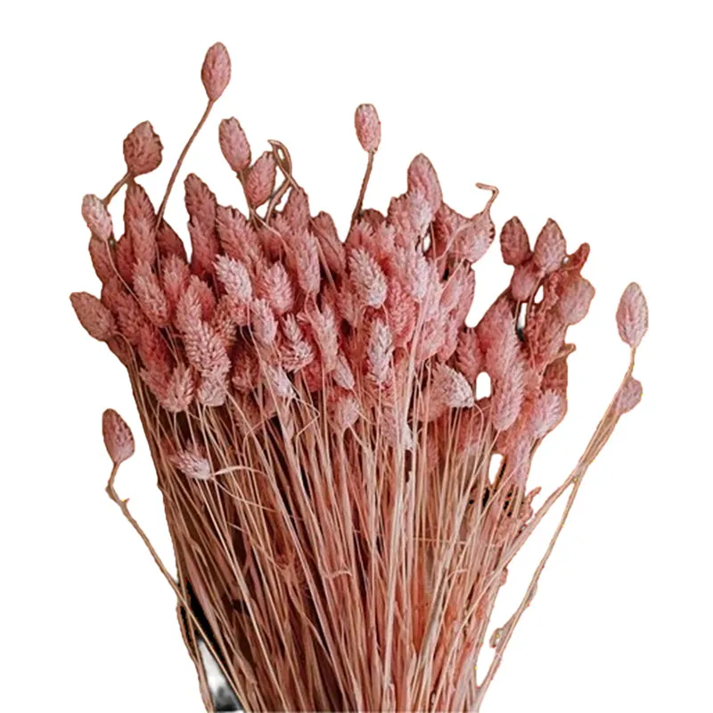 Dried Phalaris Flower Stick (Pink) - Set of Thirty media 4