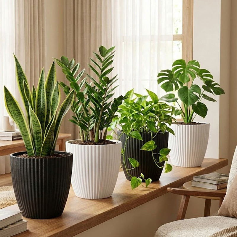 Arelis Textured Ceramic Planter - Set Of Four media 4