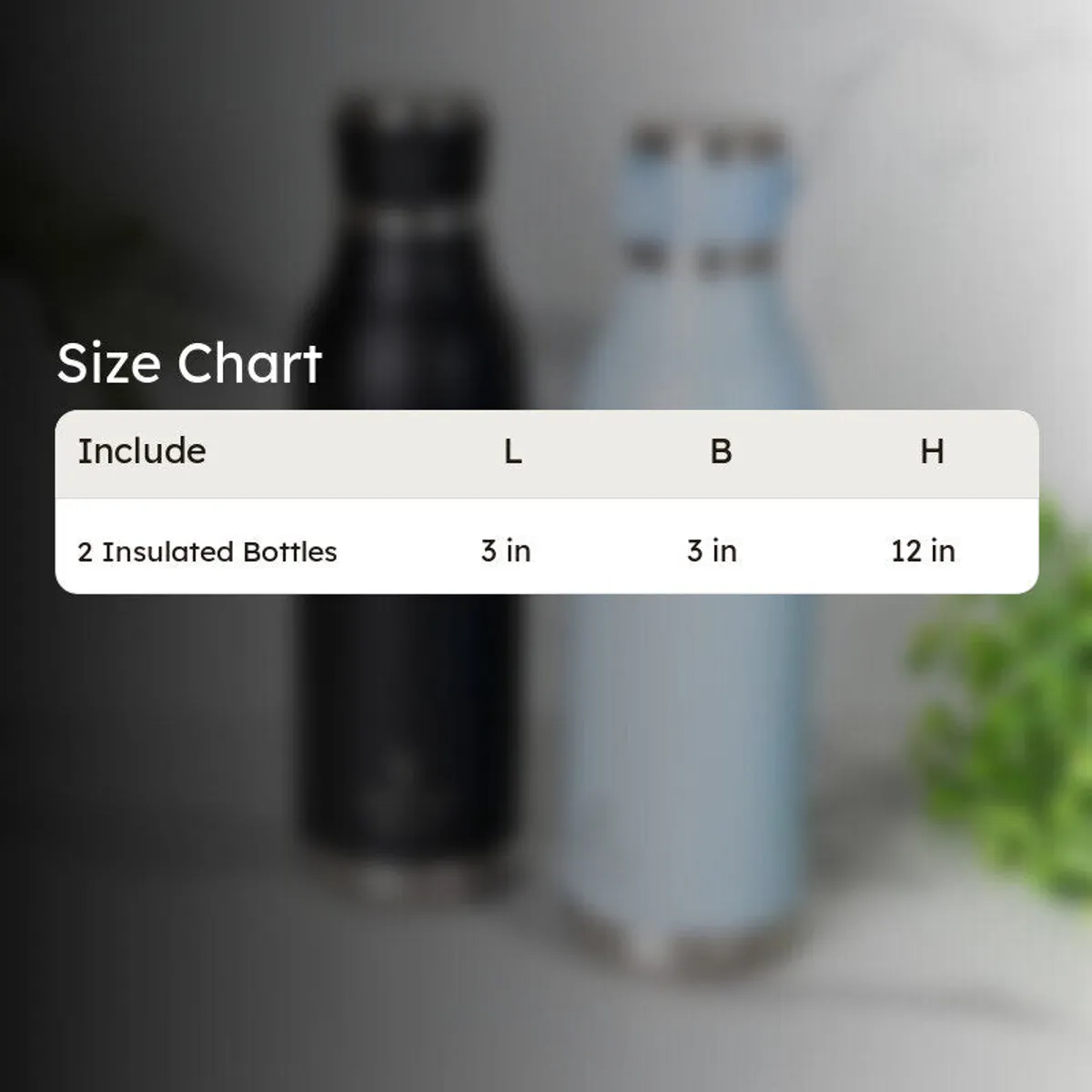 Two insulated bottles shown together with a size comparison graphic