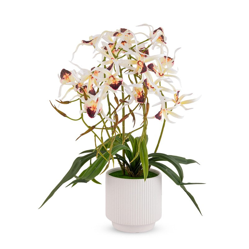 AarviDecor Classic Bloom Silk Artificial Plants media 3