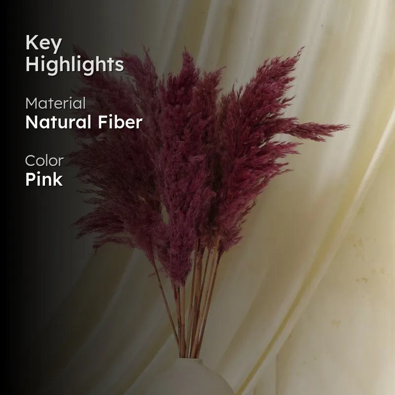Puffy Pampas Stems (2.62 ft) - Pink media 2