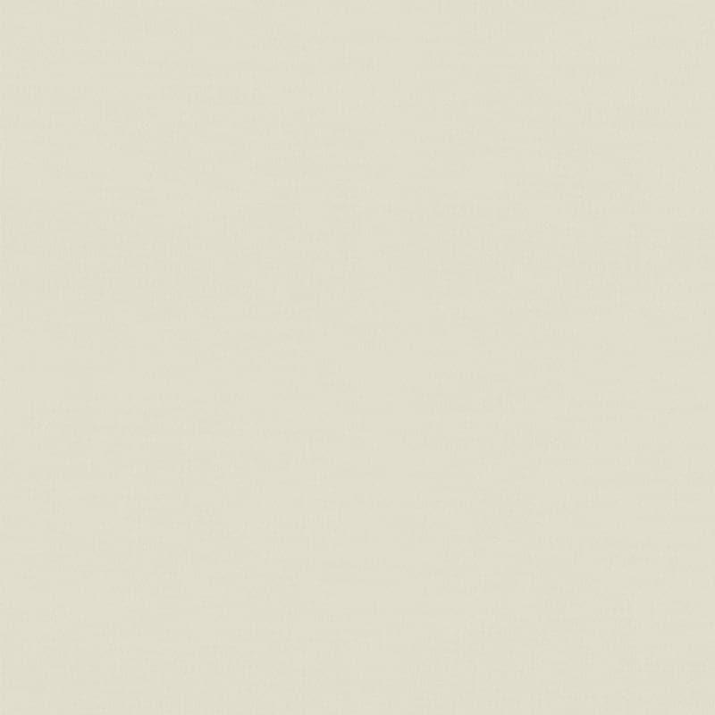 Monochrome Luxe Solid Cotton Bedsheet (Ivory) - 400 TC media 3