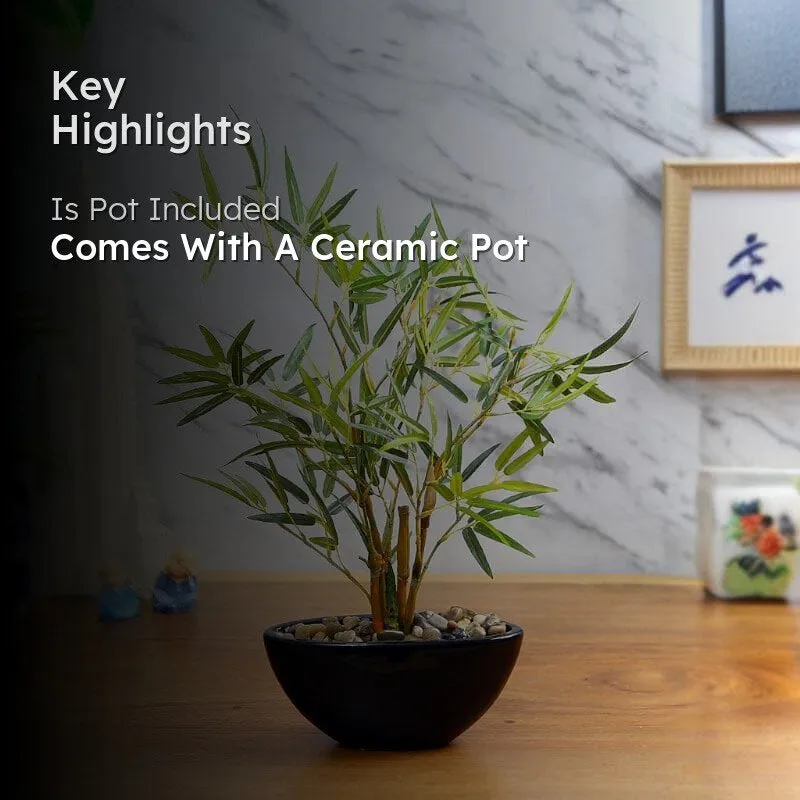 Faux Bamboo Bonsai In Bowl Pot - 38 cms media 2