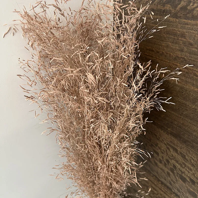 Field Fade Dried Grass - Brown media 4