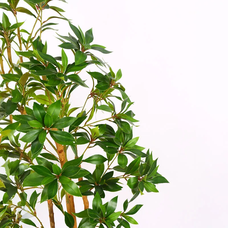 Verdiq Artificial Ruscus With Black Plastic Pot - 5 Feet media 6