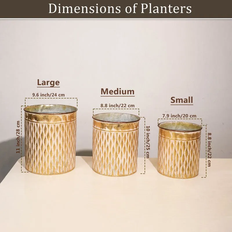 Aurora Metal Planters - Set Of Three media 8