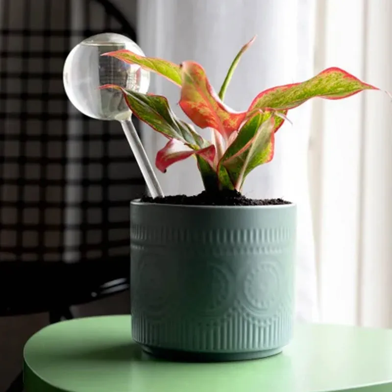 Kyari Cambium Metal Planter media 1