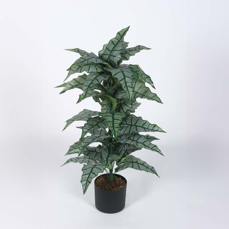 Faux Lush Happy Philo Plant With Black Plastic Pot - 2.8 Feet media 4
