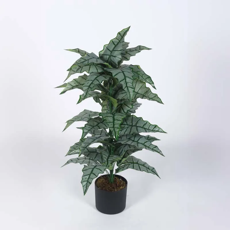 Faux Lush Happy Philo Plant With Black Plastic Pot - 2.8 Feet media 4