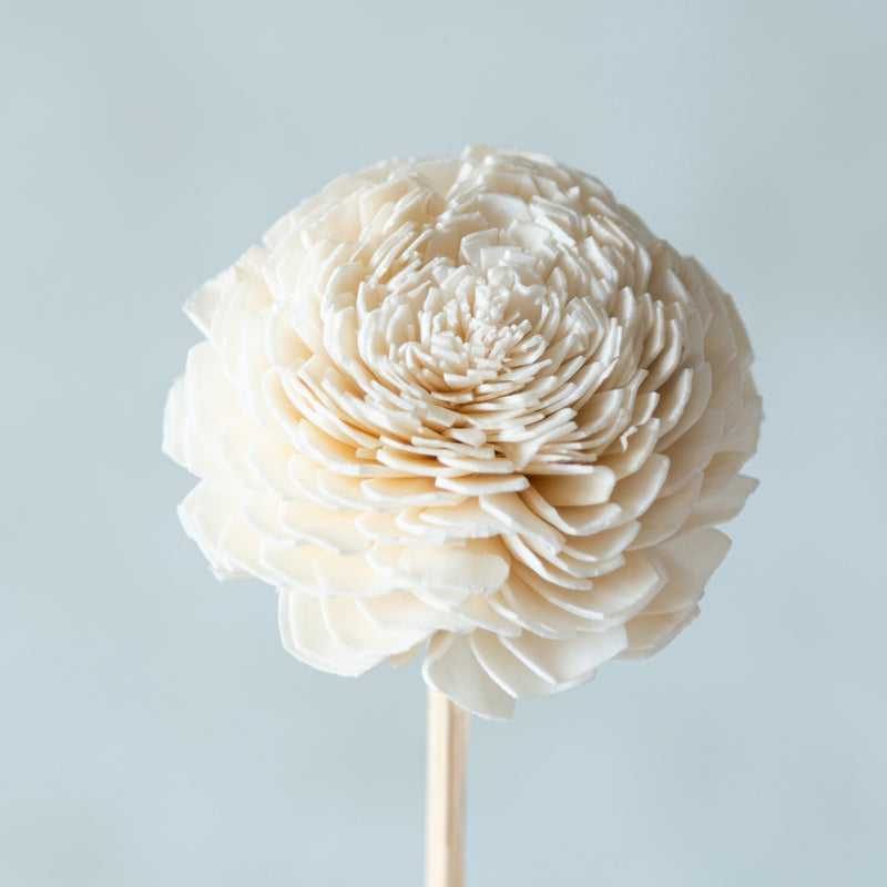 Estar Sola Wood Rose Flower Stick (White) - Set Of Ten media 4