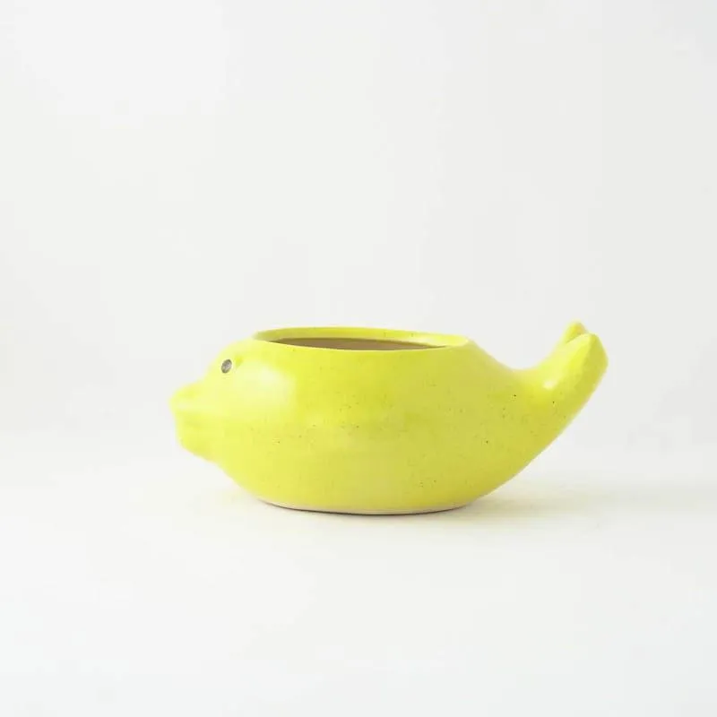 Ceramic Fish Shaped Planter media 4