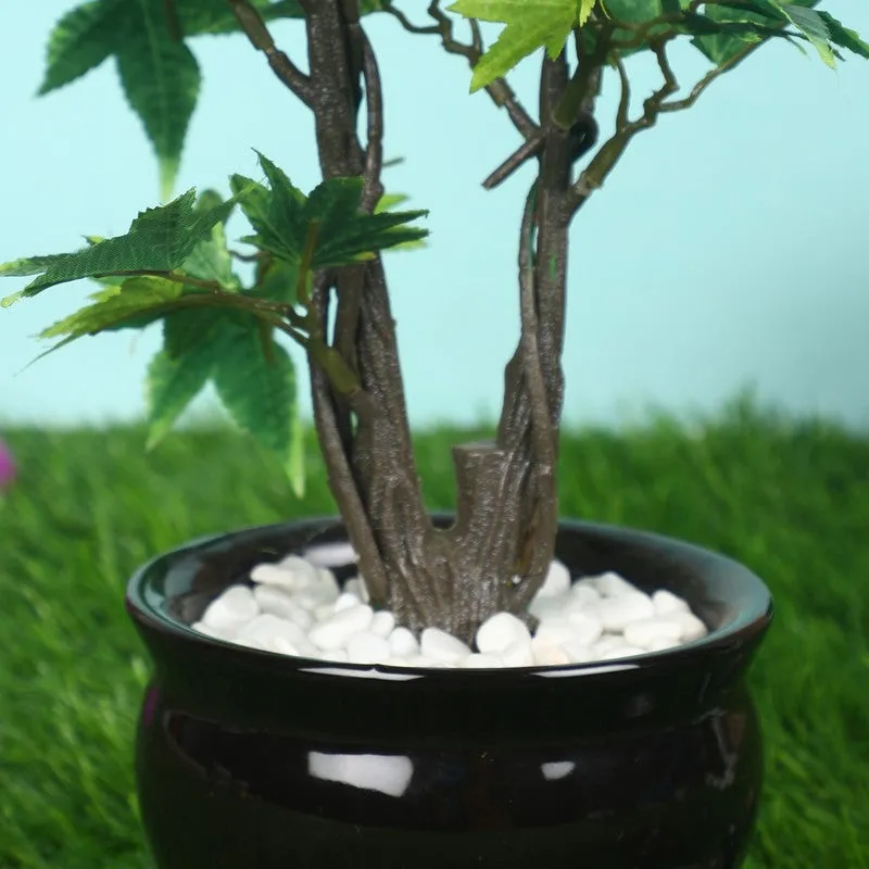 Artificial Green Bonsai Plant With Ceramic Pot - 1 Feet media 4