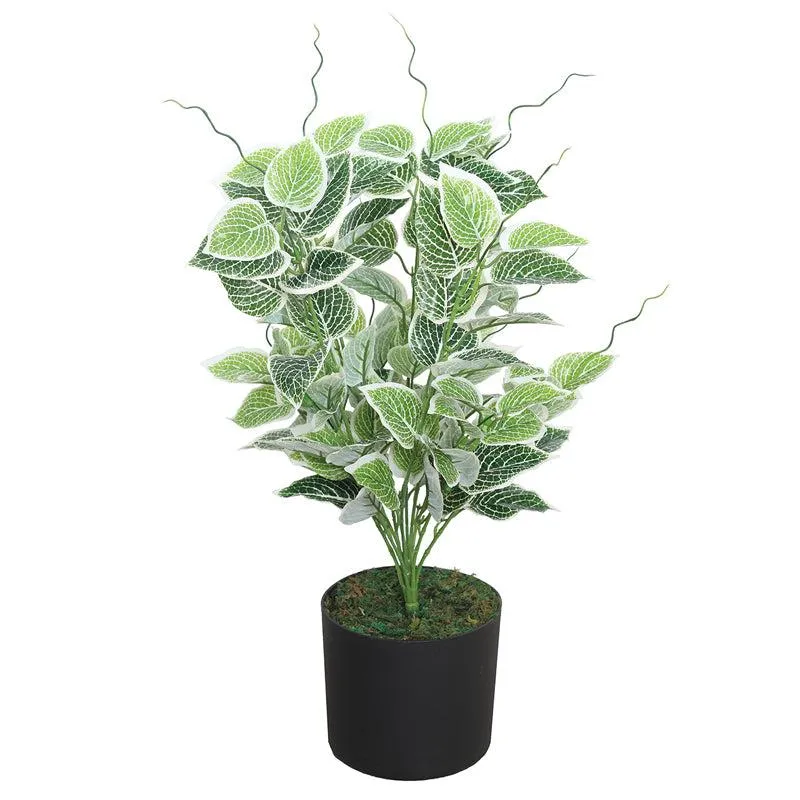 Leafy Reverie Artificial Plant With Black Plastic Pot media 3