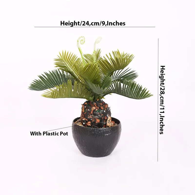 Lifelike Cycas Artificial Plant With Black Plastic Pot media 5