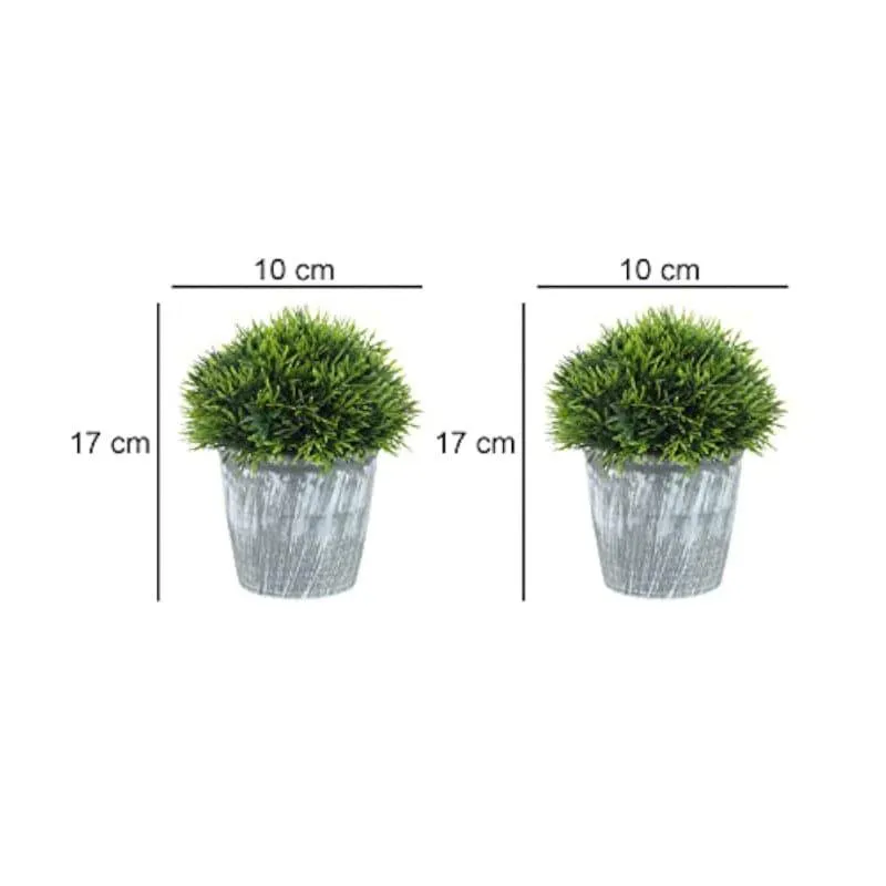 Leva Faux Plant In Garcia Pot (17 cms) - Set Of Two media 4