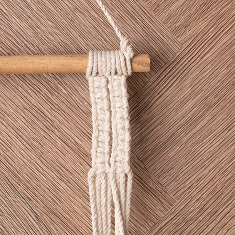 Jacinta Macrame Wall Shelf media 4