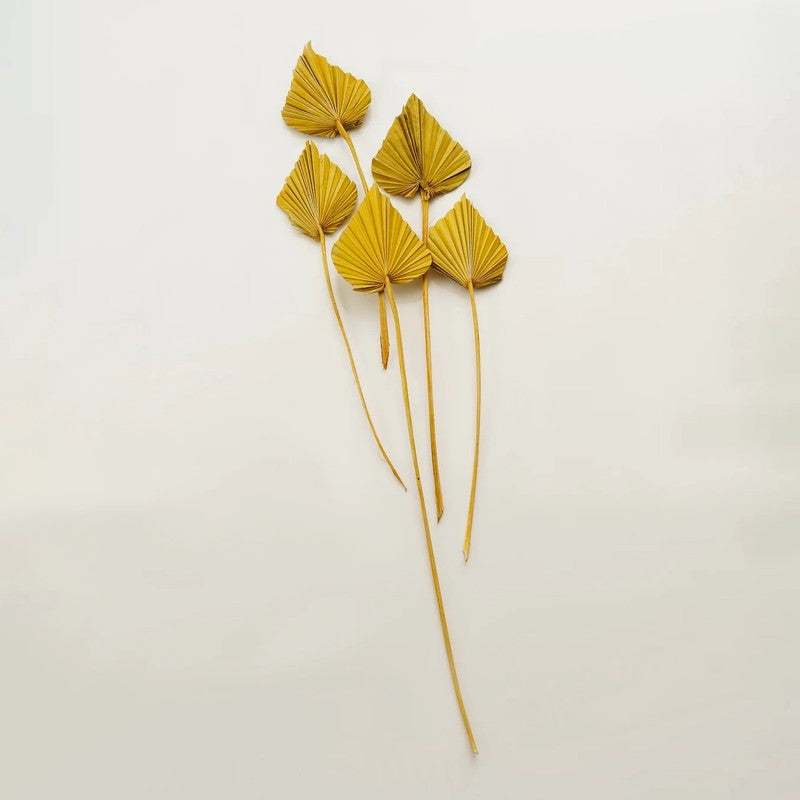 Palzi Dried Palm Stick (Yellow) - Set Of Five media 4