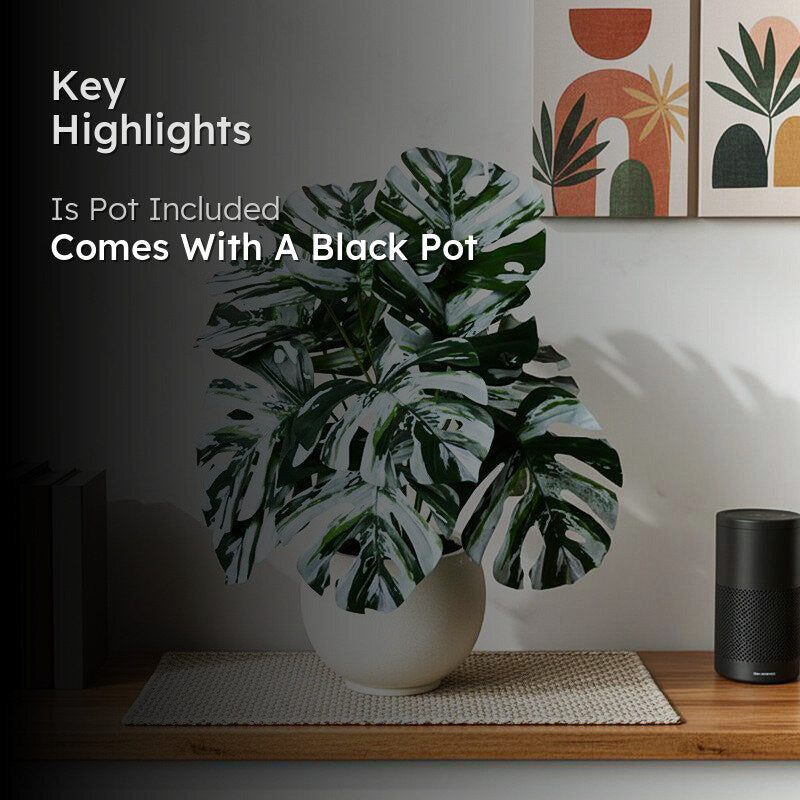 Faux Everlasting Monstera Plant With Black Plastic Pot - 61 cm (2 ft) media 2
