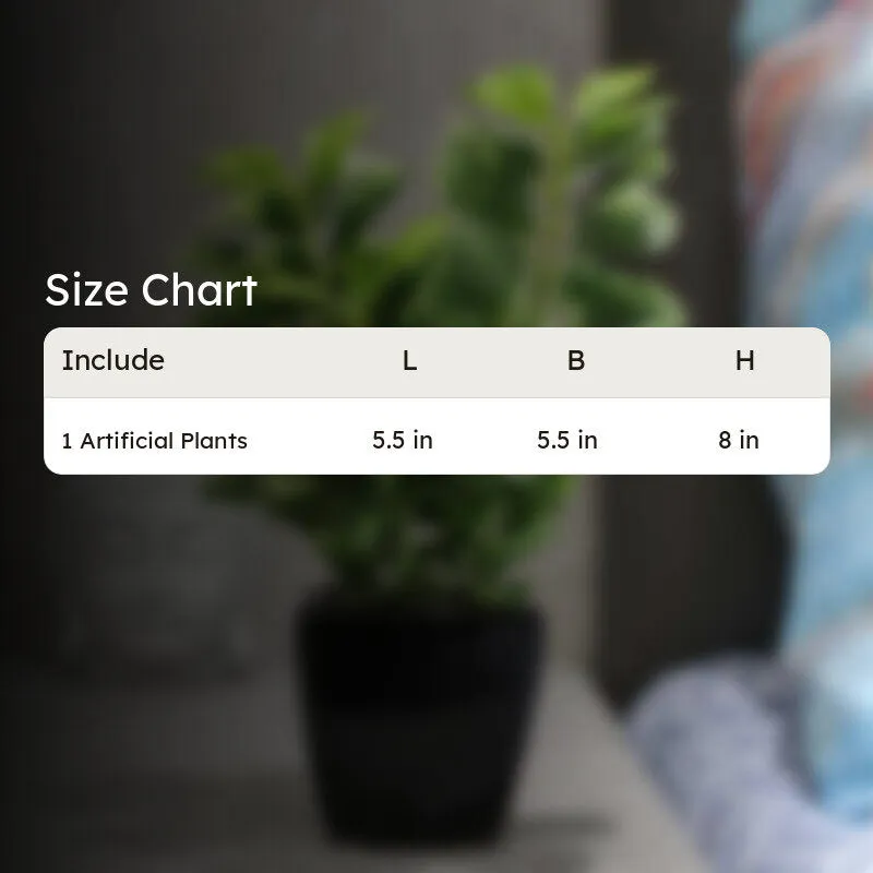 Artificial Coin Leaf Bonsai Plant With Ceramic Pot - 0.7 Feet media 7