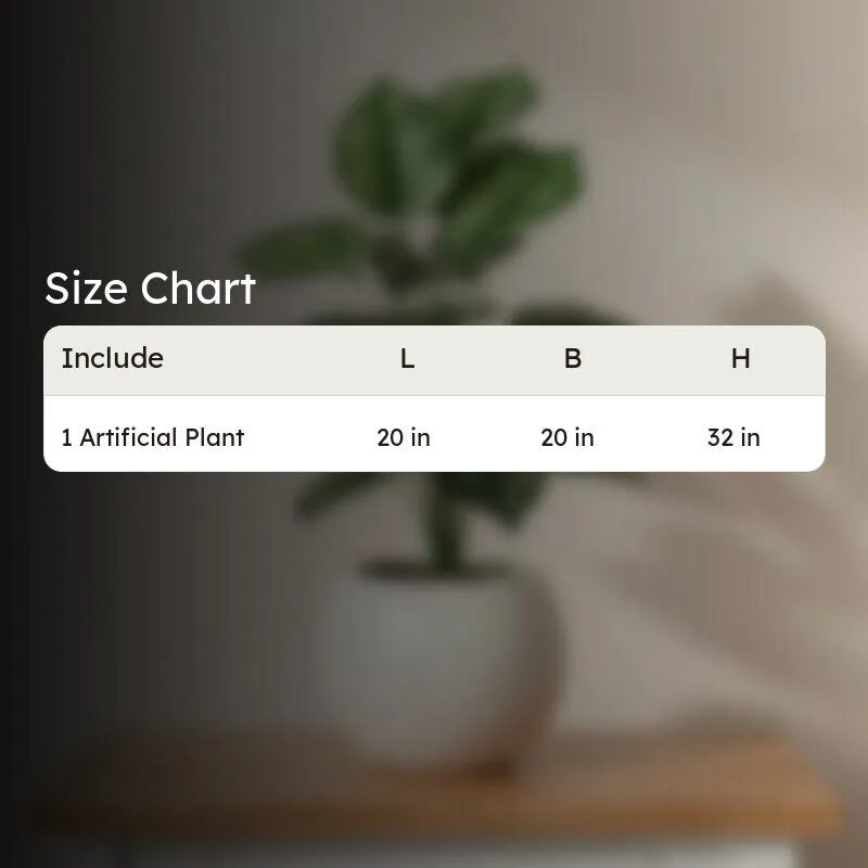 Faux Lush Peperomia Plant With Black Plastic Pot - 2.6 Feet media 8