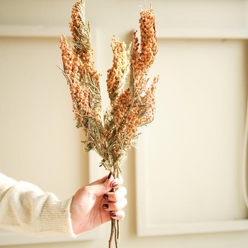 Dried Flowers & Leaves