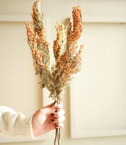 Dried Flowers & Leaves