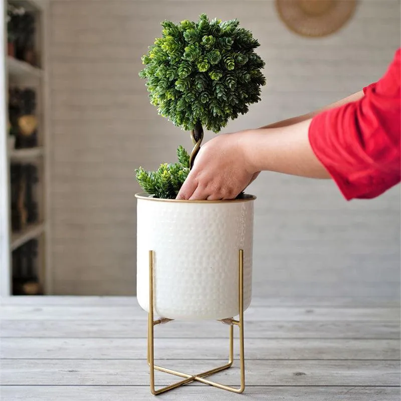 Rhaella Iron Planter - Big media 4