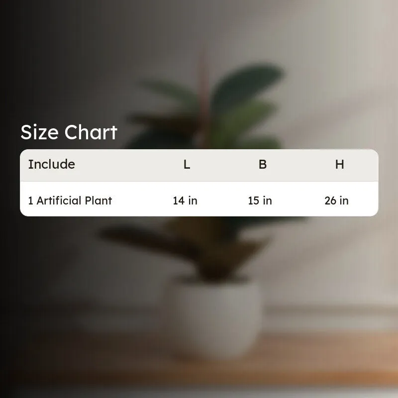 Urban Luxe Artificial Rubber Plant Without Pot - 2.1 Feet media 8