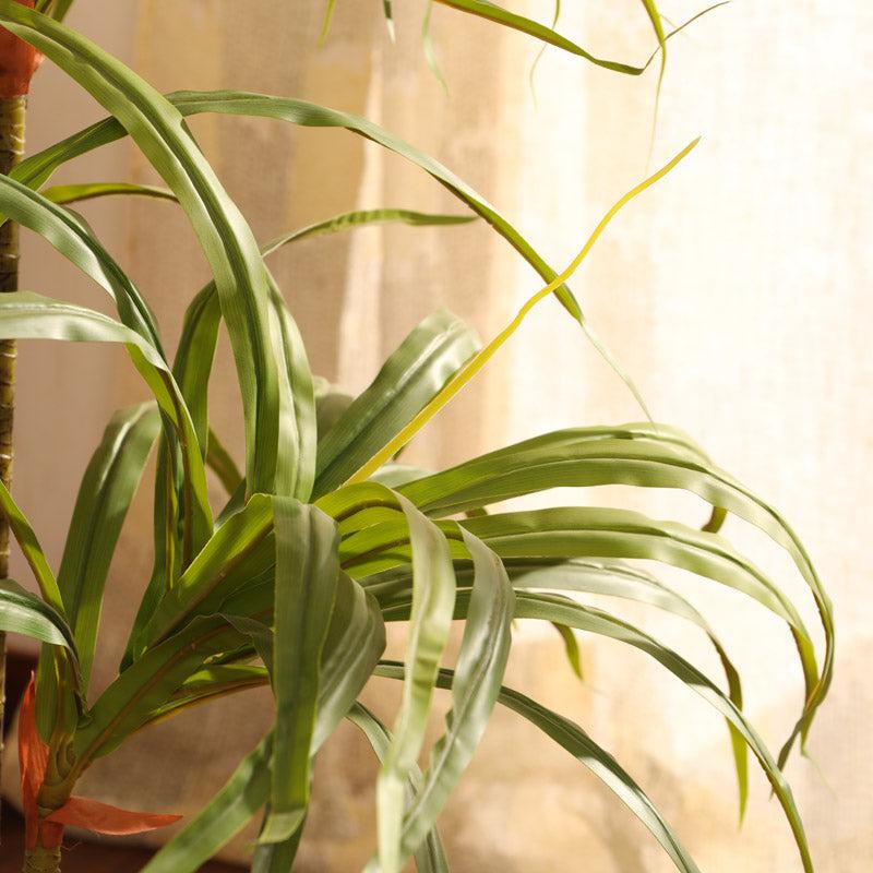 Artificial Realistic Dracaena Plant With Black Plastic Pot - 3 Feet media 4