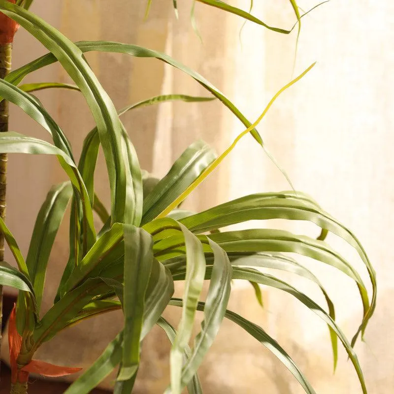 Artificial Realistic Dracaena Plant With Black Plastic Pot - 3 Feet media 4