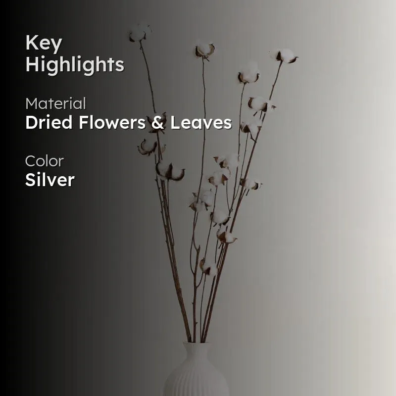 Cuzi Dried Cotton Stick (Silver) - Set Of Fifteen Pods media 2