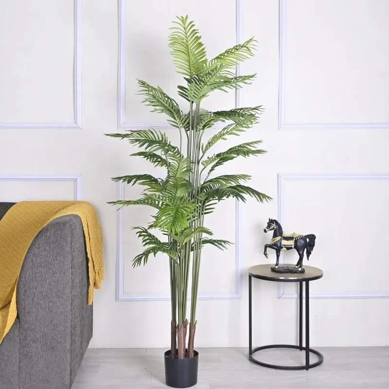 Artificial Palm Plant With Black Fiber Pot - 5.9 Feet - 3