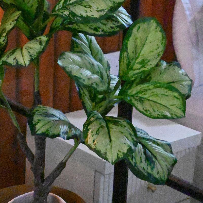 Faux Everlasting Dieffenbachia Honeydew Plant With Black Plastic Pot - 95 cm (3.1 ft) media 4