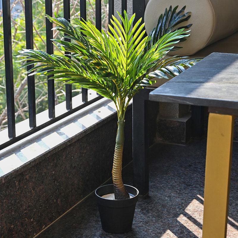 Faux Everlasting Bonsai Palm Plant With Black Plastic Pot - 2.3 Feet media 3