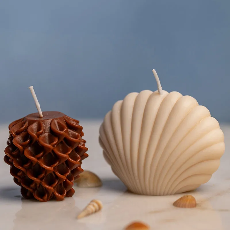 Glory Seashell Cinnamon Scented Candle - Set Of Two media 3