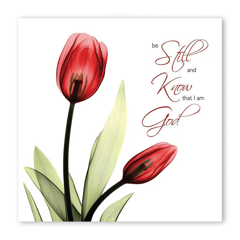 Andrewsa Floral Wall Art media 4