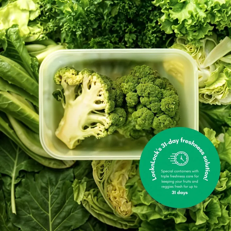 Elvya Compact Container (640 mL Each) - Set Of Two media 7