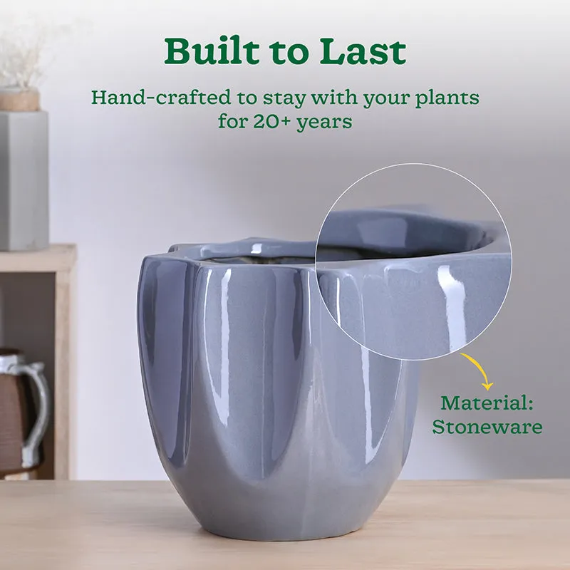 Ugaoo Pebble Pod Ceramic Planter - Grey media 3