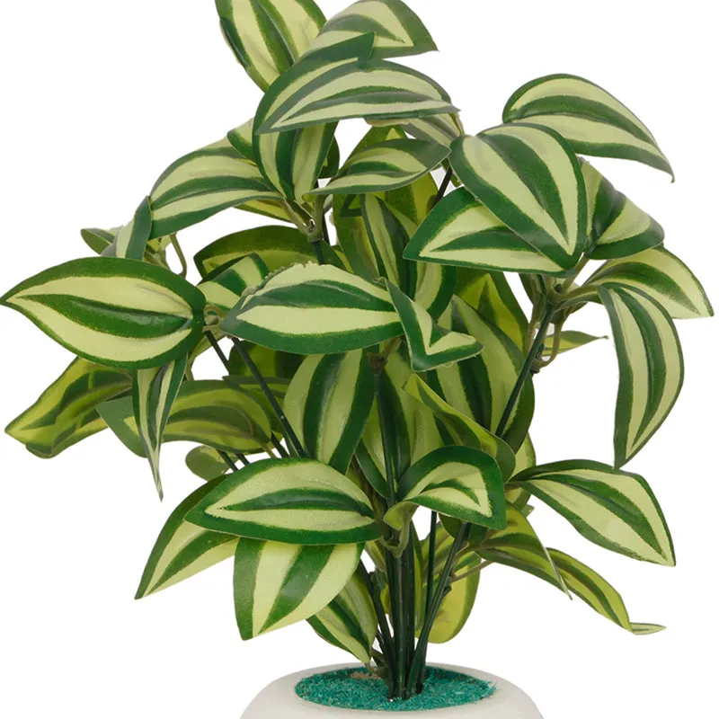 Draconis Artificial Plant With Black Plastic Pot - 1 Feet media 4