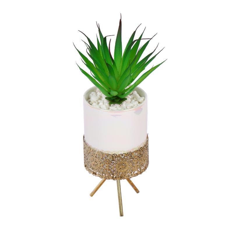 Faux Tequilana In Ceramic Pot With Tripod - 23 cms media 3