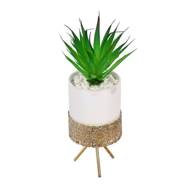 Faux Tequilana In Ceramic Pot With Tripod - 23 cms media 3