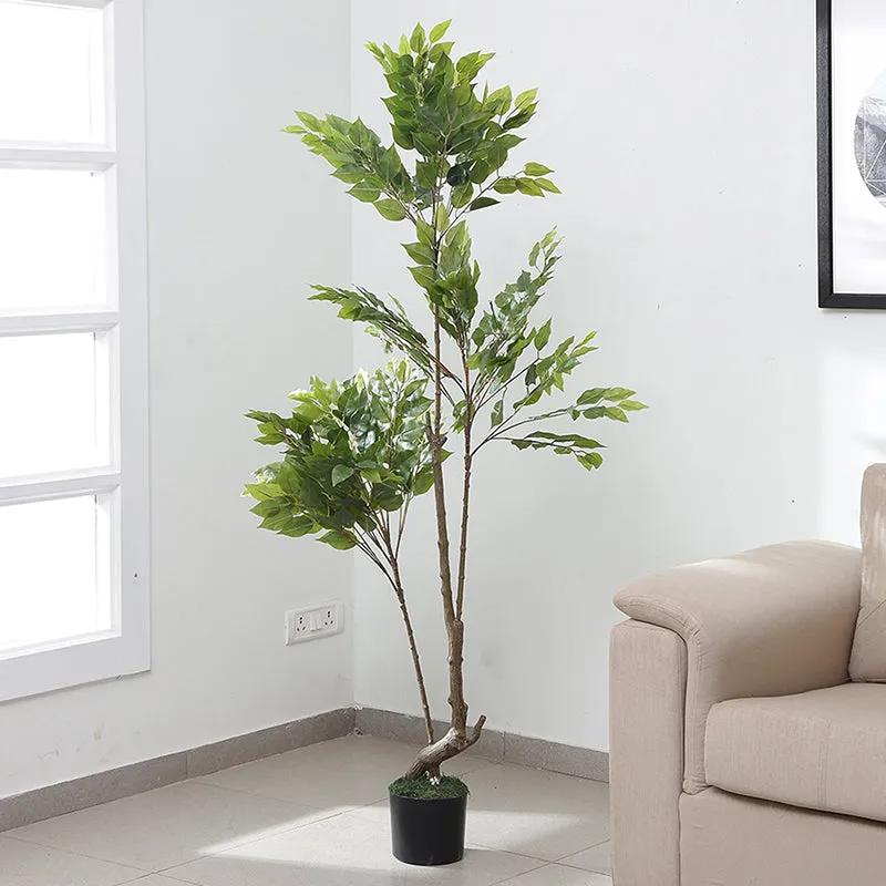 Faux Weeping Fig Tree - 5.9 Feet media 2
