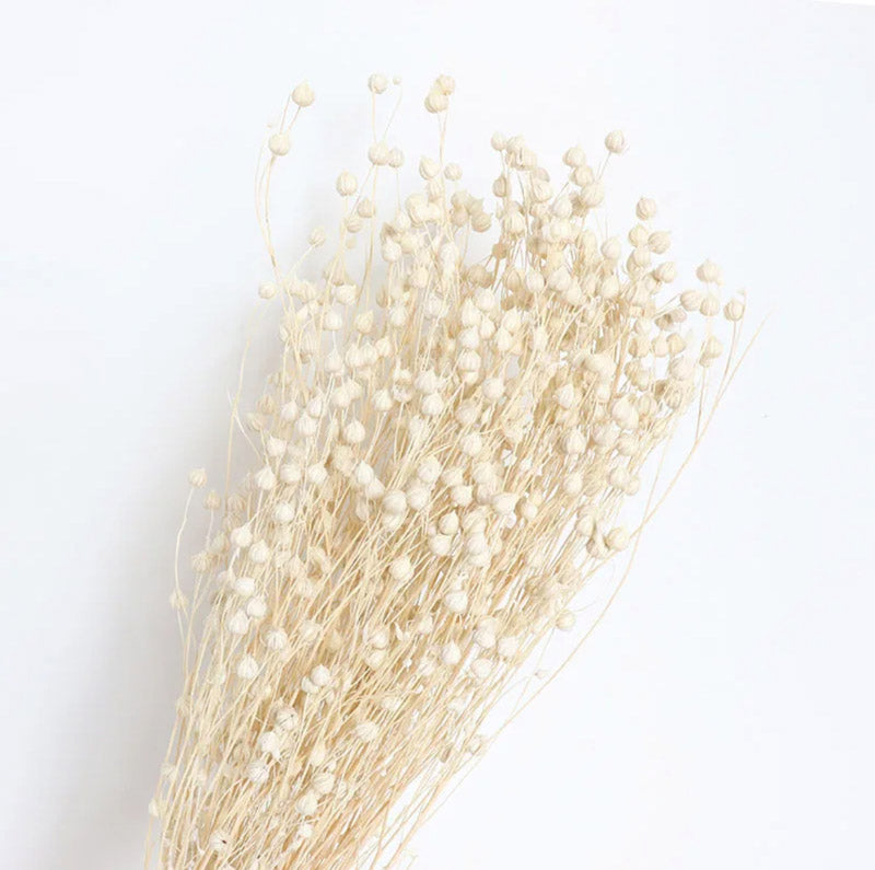Amora Fax Dried Flower Bunch - White media 4